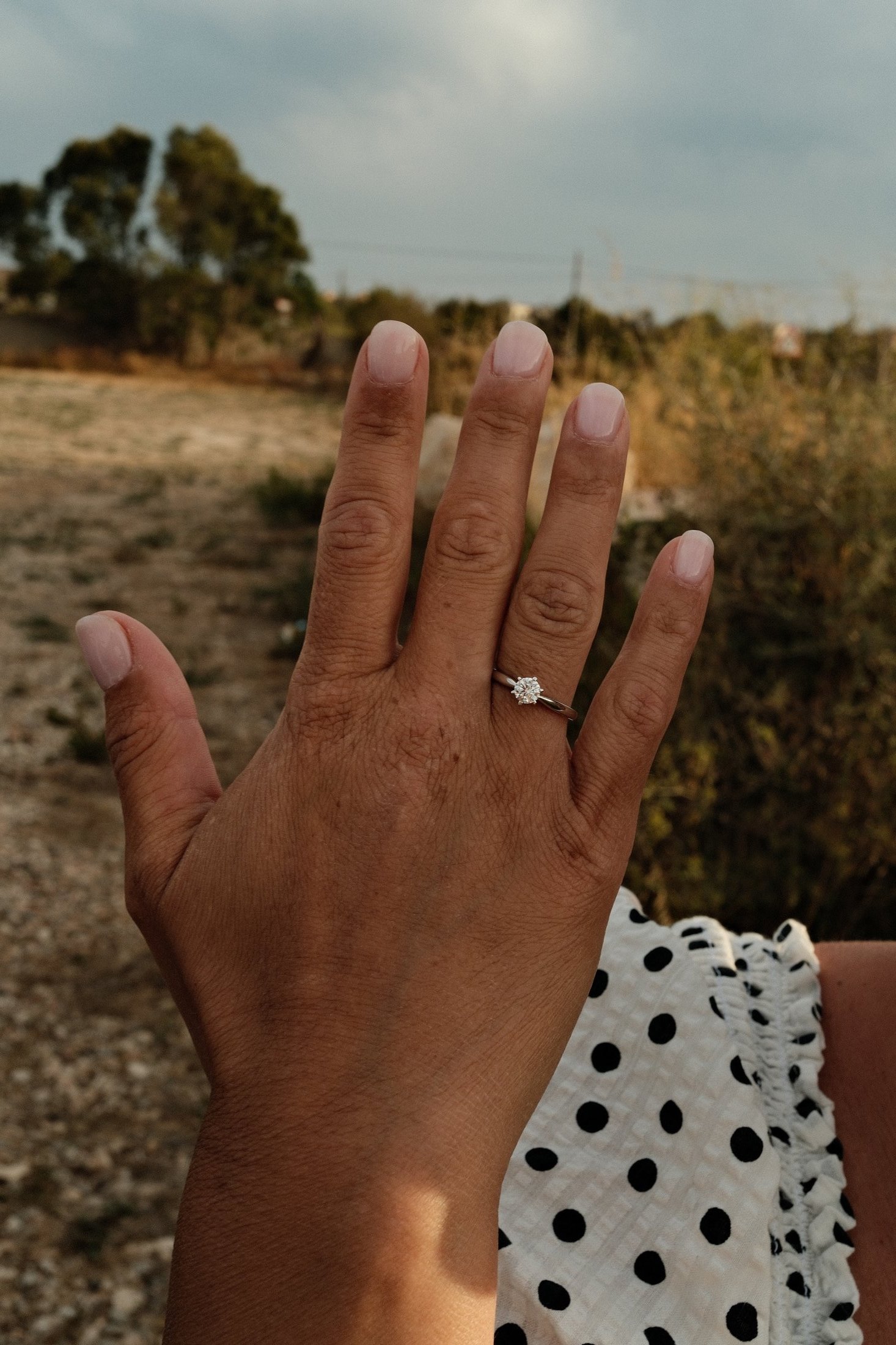 Hand raised against the countryside