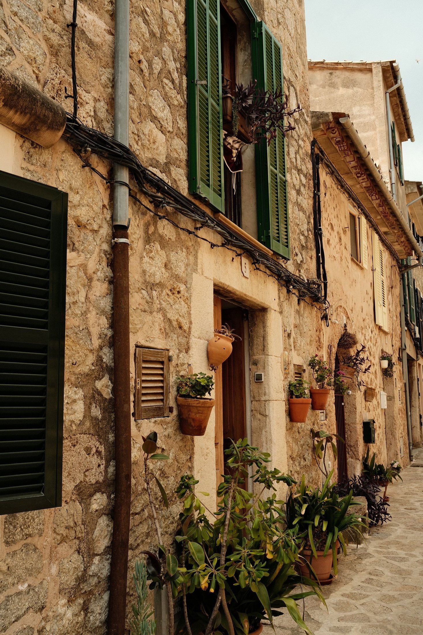 Stone building facade with potted plants