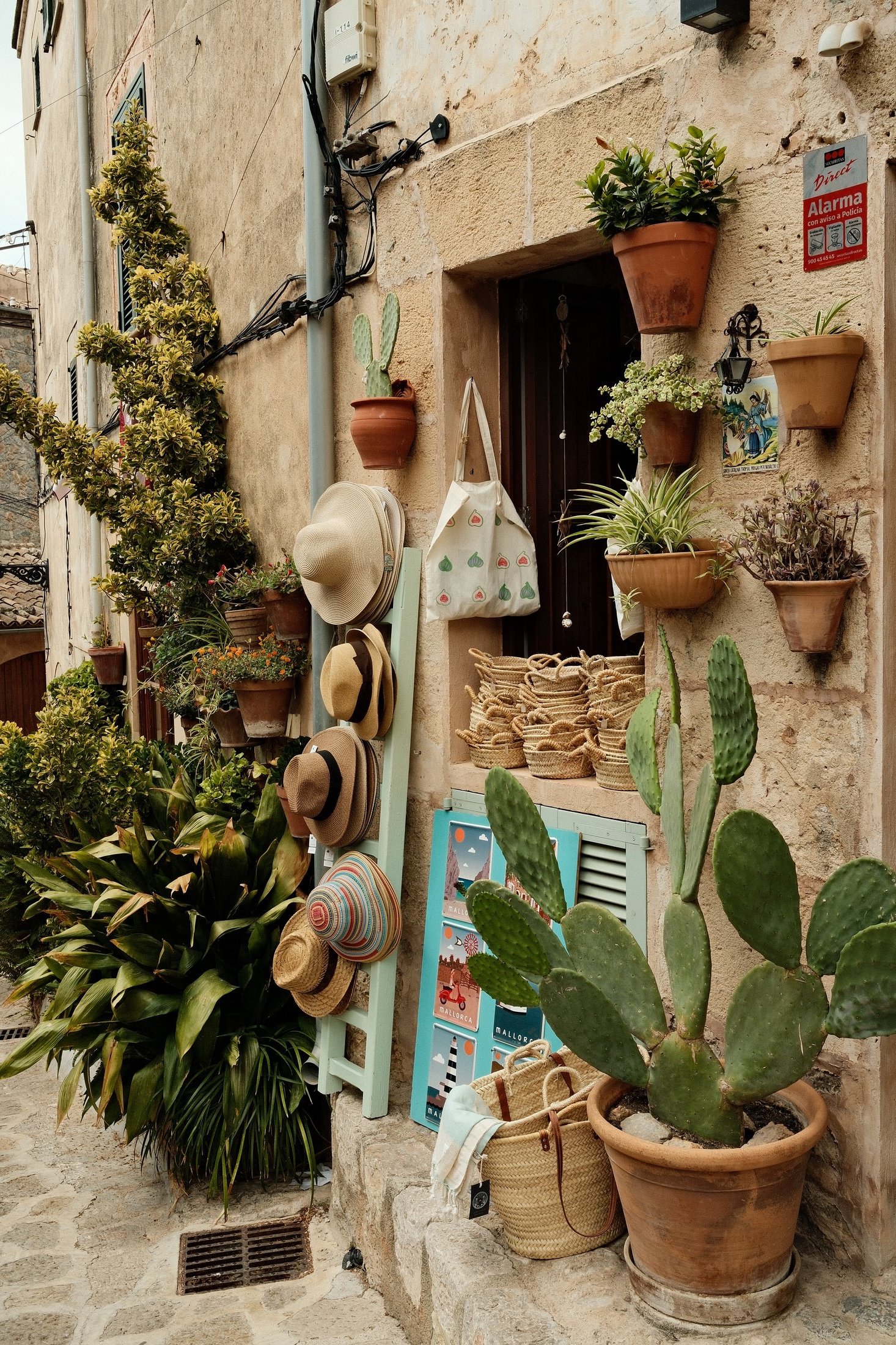 Shop front with sun hats and cacti