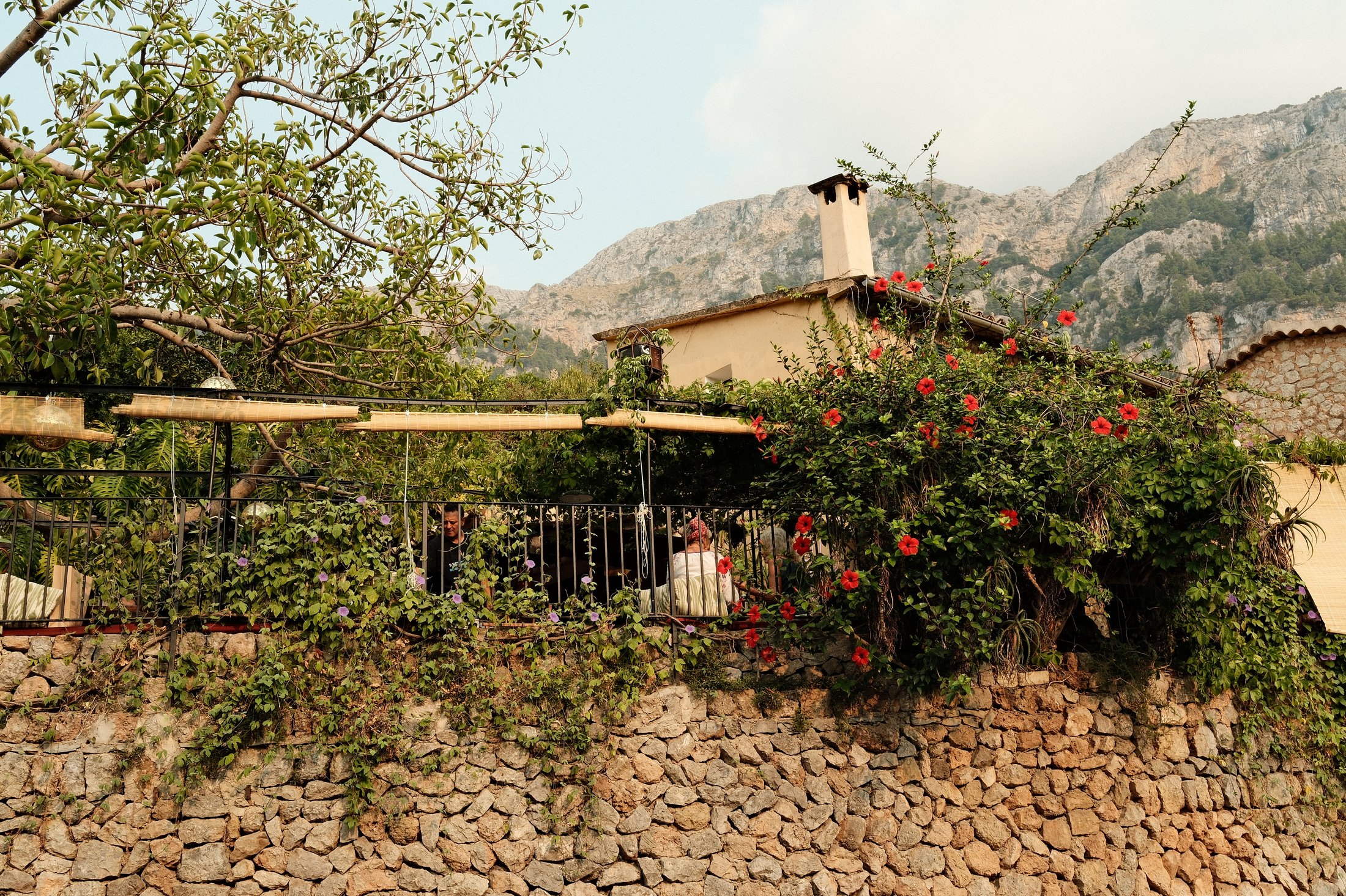 Terrace with red flowers and mountains beyond