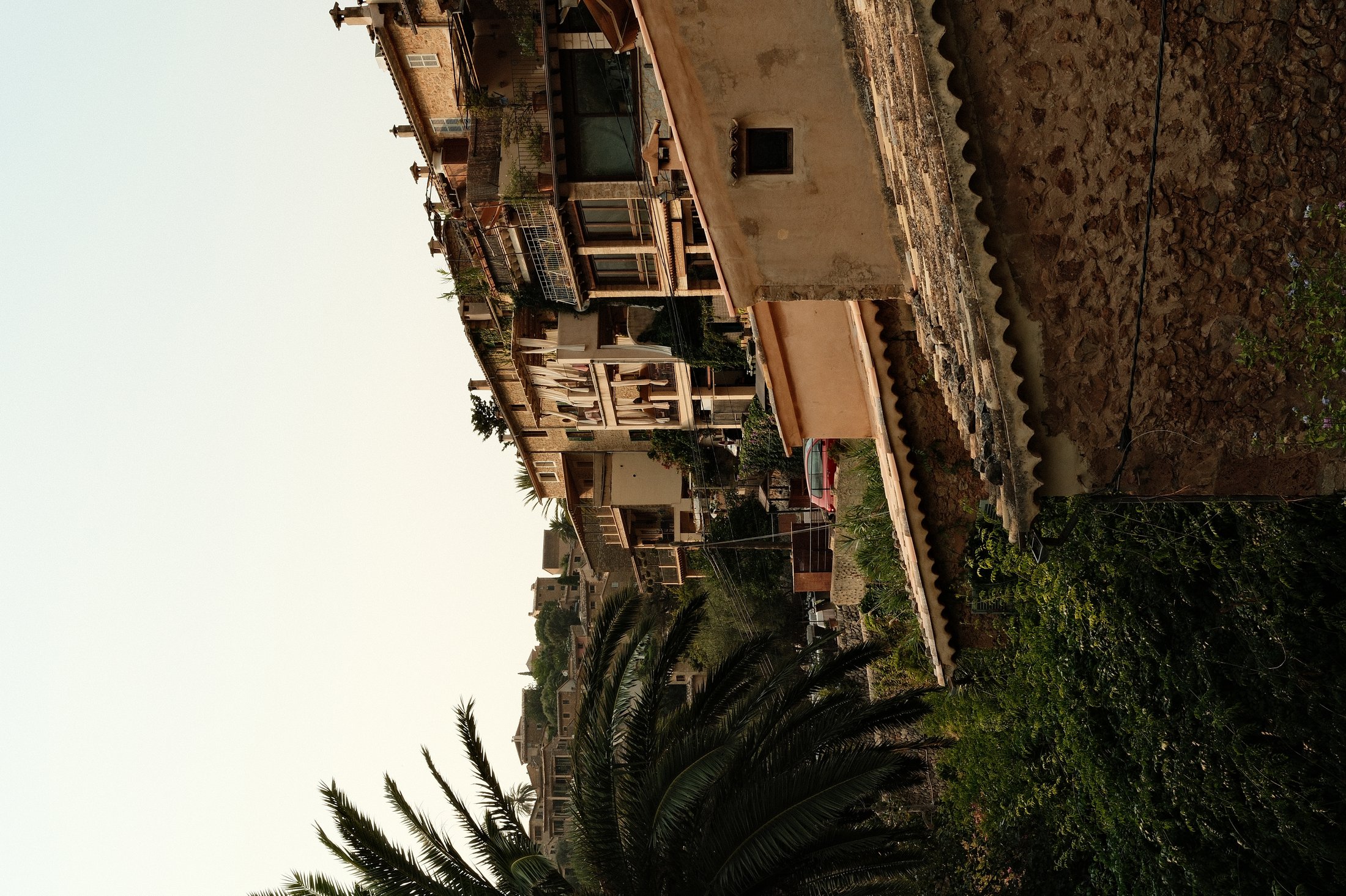 Hillside village with a palm tree